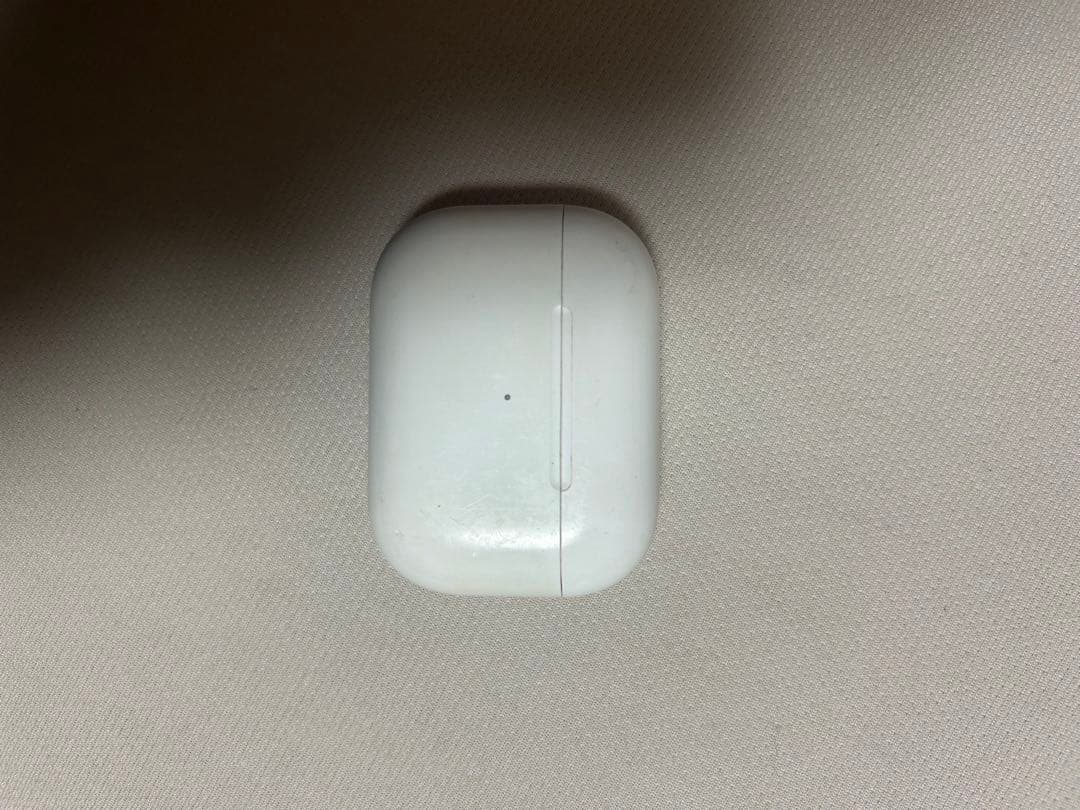 AirPods Pro 本体 + レザーケース