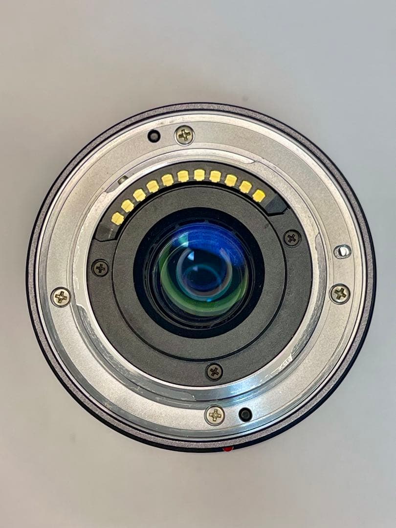 【極美品/光学クリア】LUMIX G VARIO 7-14mm F4.0