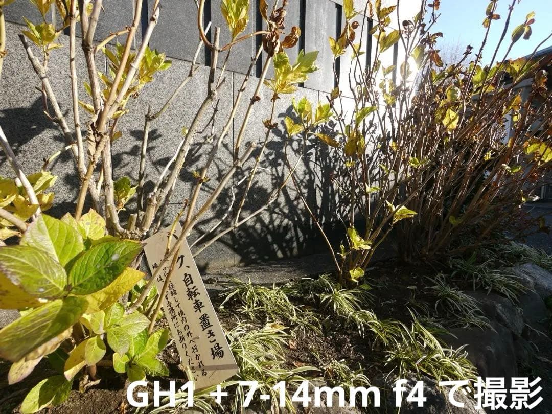 【極美品/光学クリア】LUMIX G VARIO 7-14mm F4.0