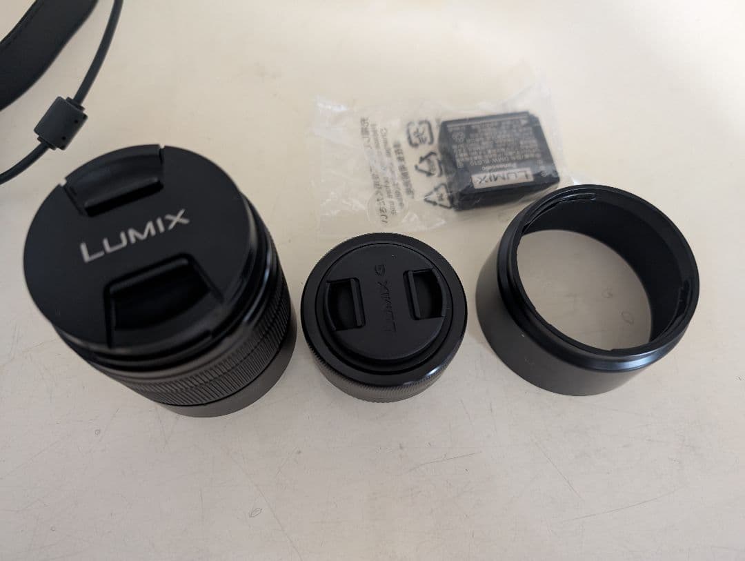 Panasonic LUMIX デジタルカメラDC-G100D ダブルフレーム