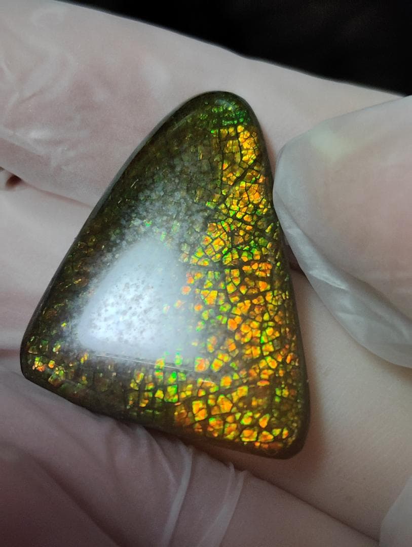 アンモライト　ルース　24-1413 19800