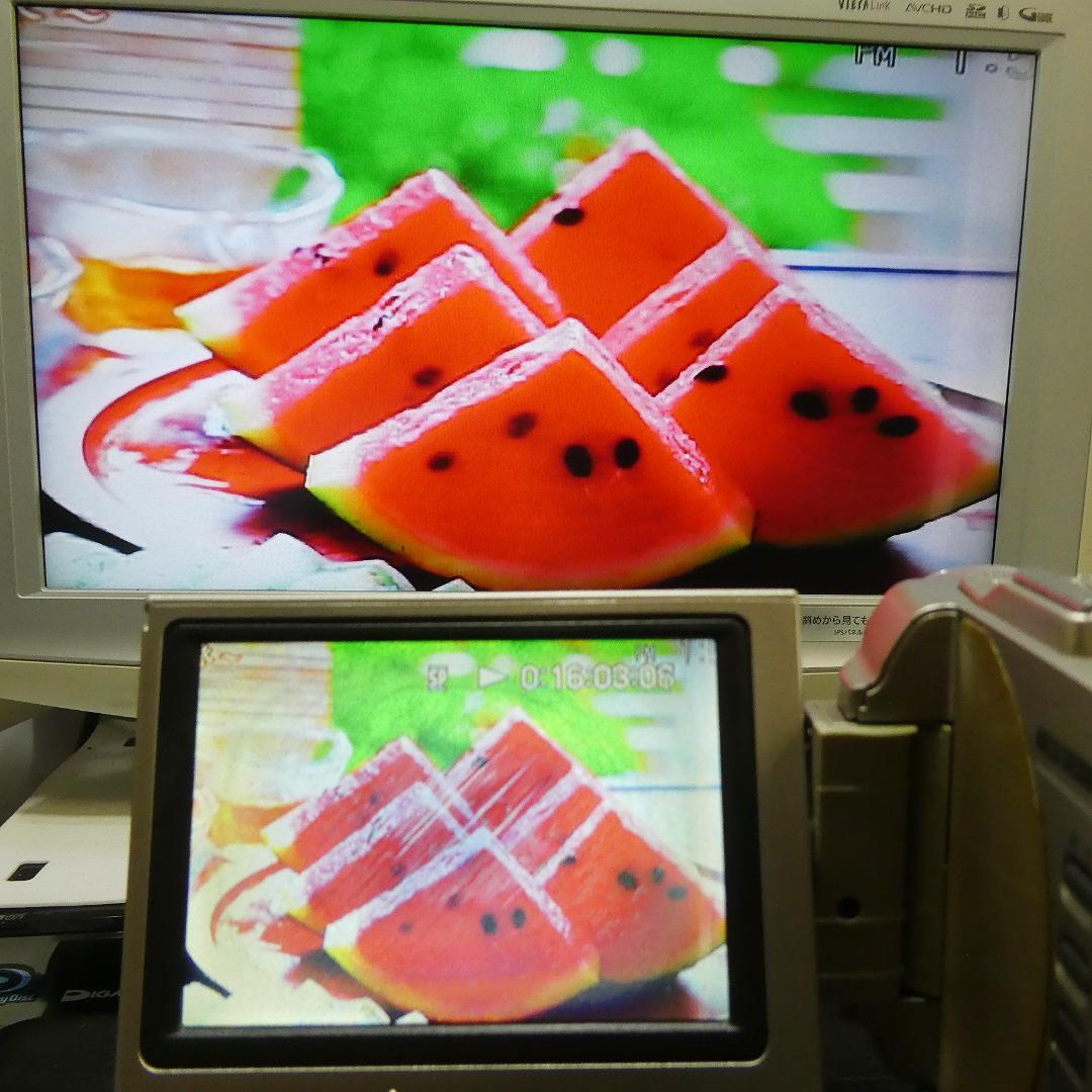 美品・動作良好ソニーDCR-TRV10 MiniDVビデオカメラ DVD化に最適