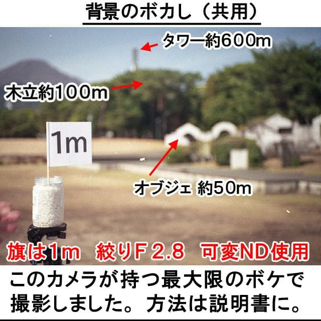 437 KONICA コニカ C35EF ピッカリコニカ 分解整備済の完動極美品