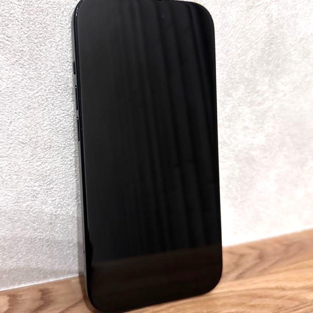 iPhone15 ブラック ジャンク カメラ不具合 SIMフリー 256GB