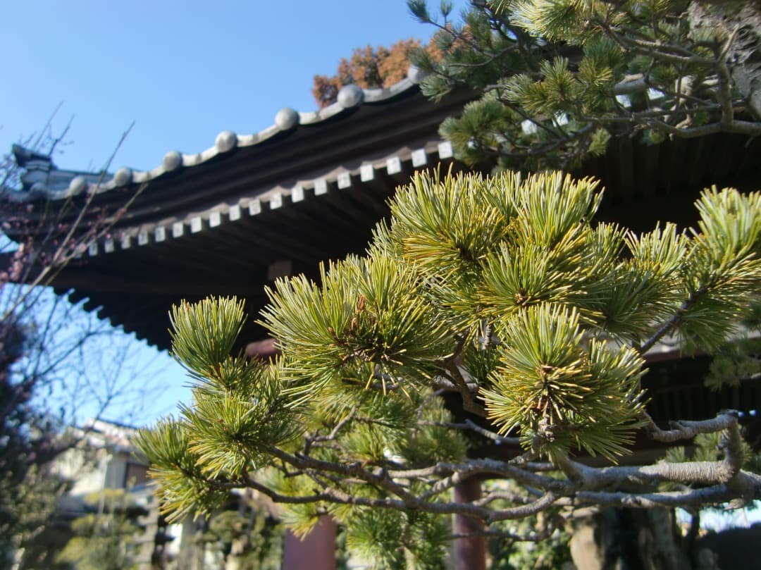 追加あり⭕️【動作確認済み】CASIO EXILIM デジカメ EX-Z300