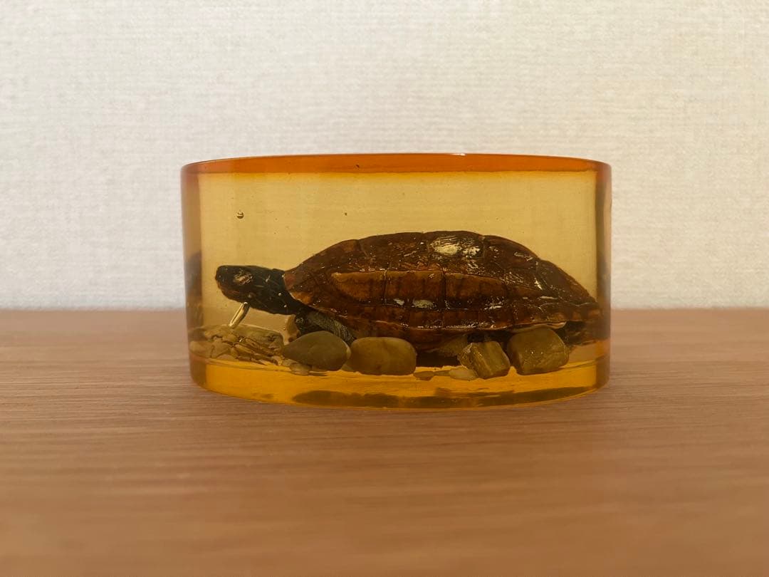 琥珀色 樹脂製 カメとカニの文鎮 インテリア置物