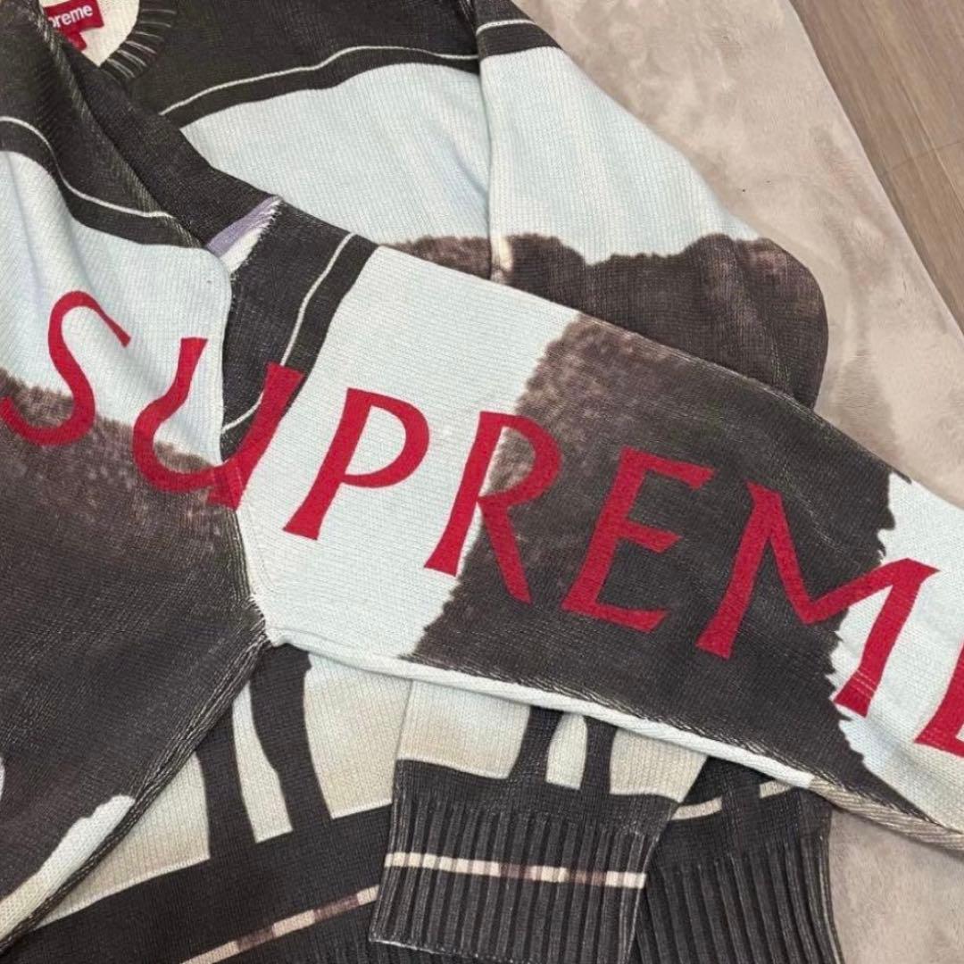 Supreme Damien Hirst sweater サイズ L