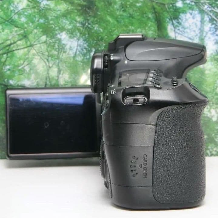 ❤動画も自撮り出来るCanon EOS 60D☆スマホ転送OK♪付属品多数❤