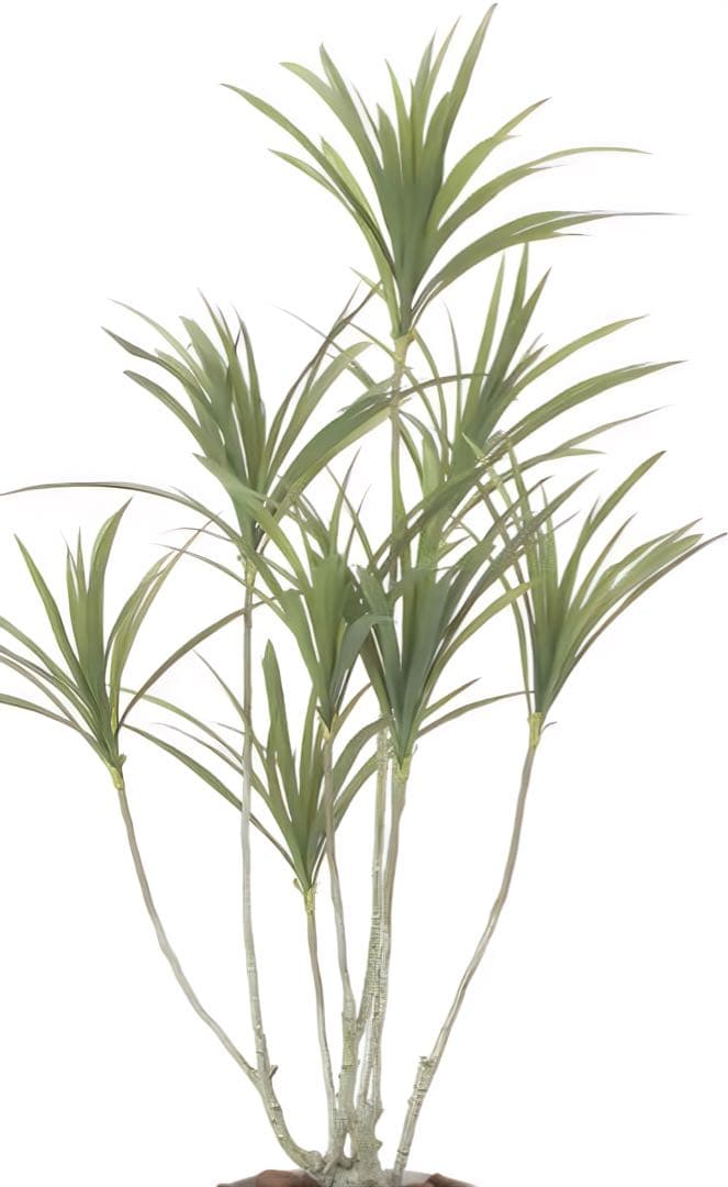 光触媒　人工観葉植物　ウォールグリーン　フェイクグリーン　ドラセナ1.4