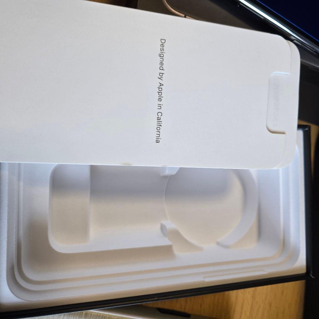 iPhone11pro 256GB　ヴァレクストラ　特注　ケース　その他