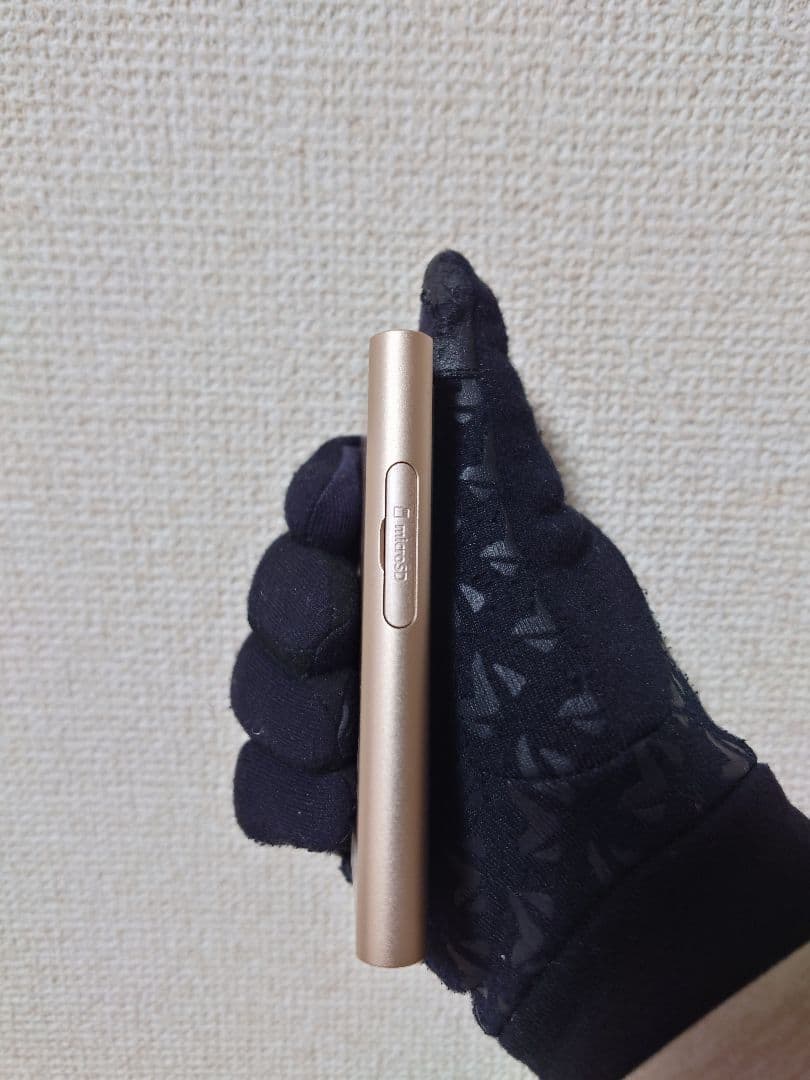 Sony NW-A55 WALKMAN 16GB ペールゴールド