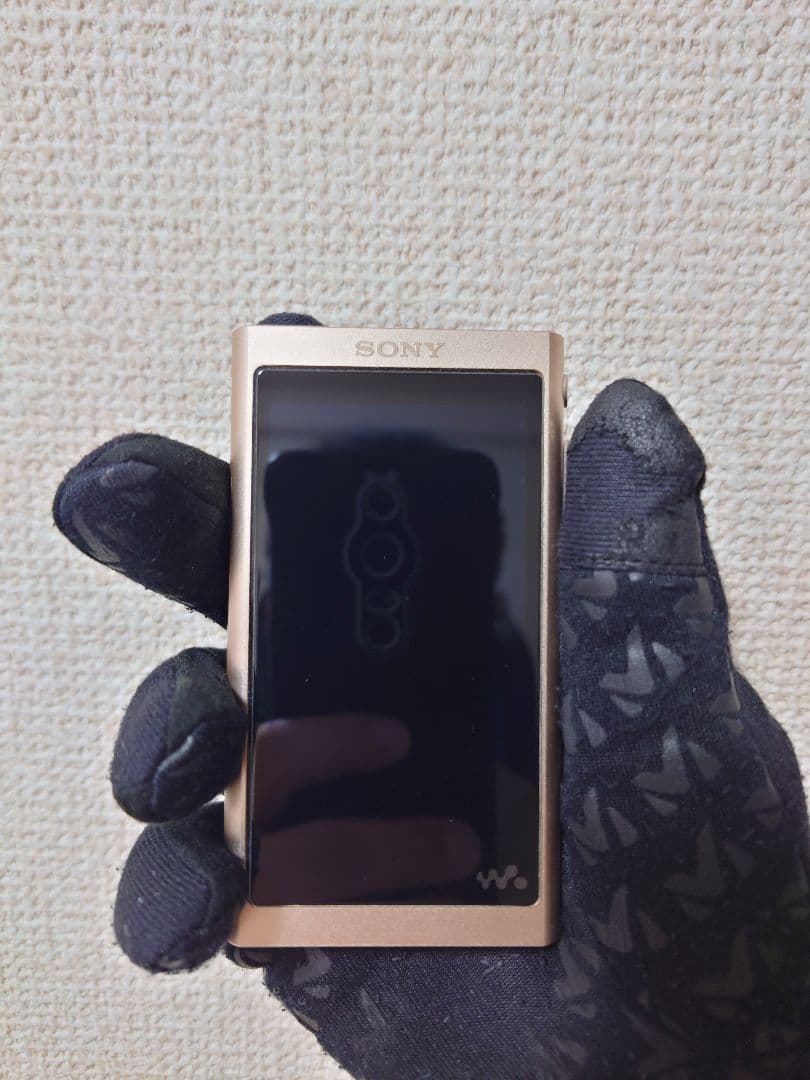 Sony NW-A55 WALKMAN 16GB ペールゴールド
