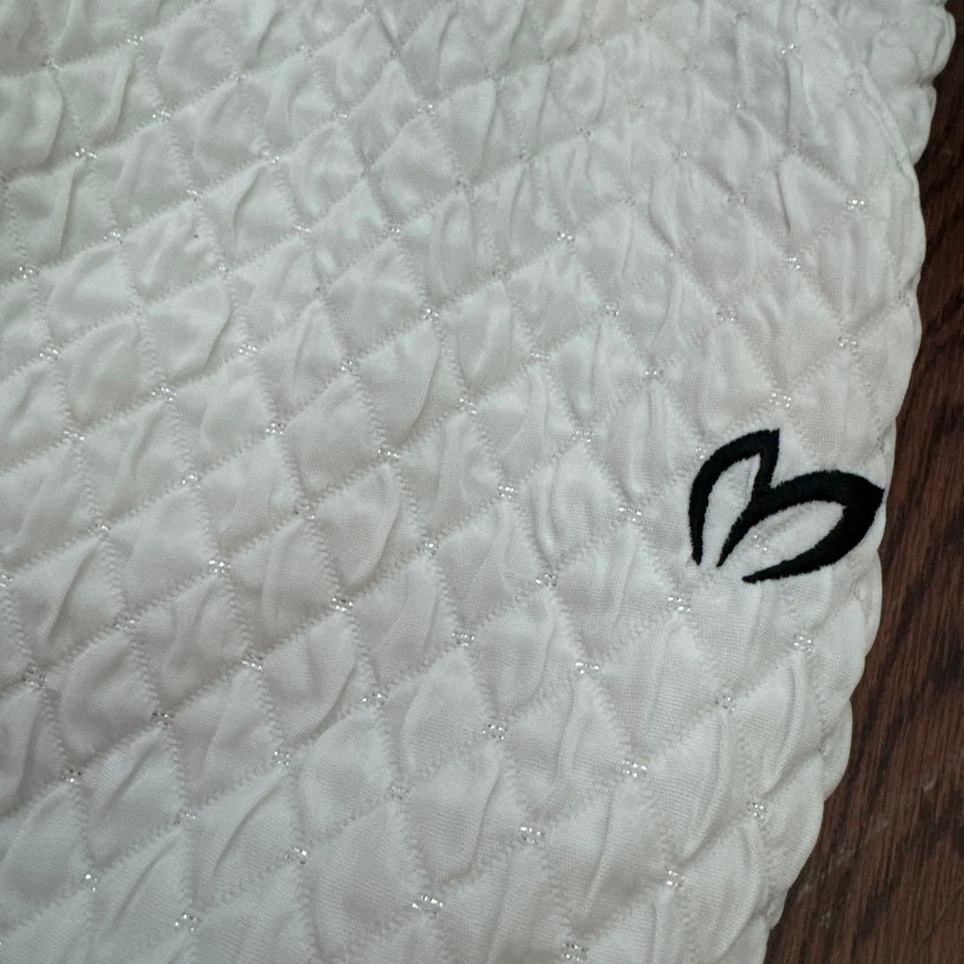 MASTER BUNNY EDITION セットアップ