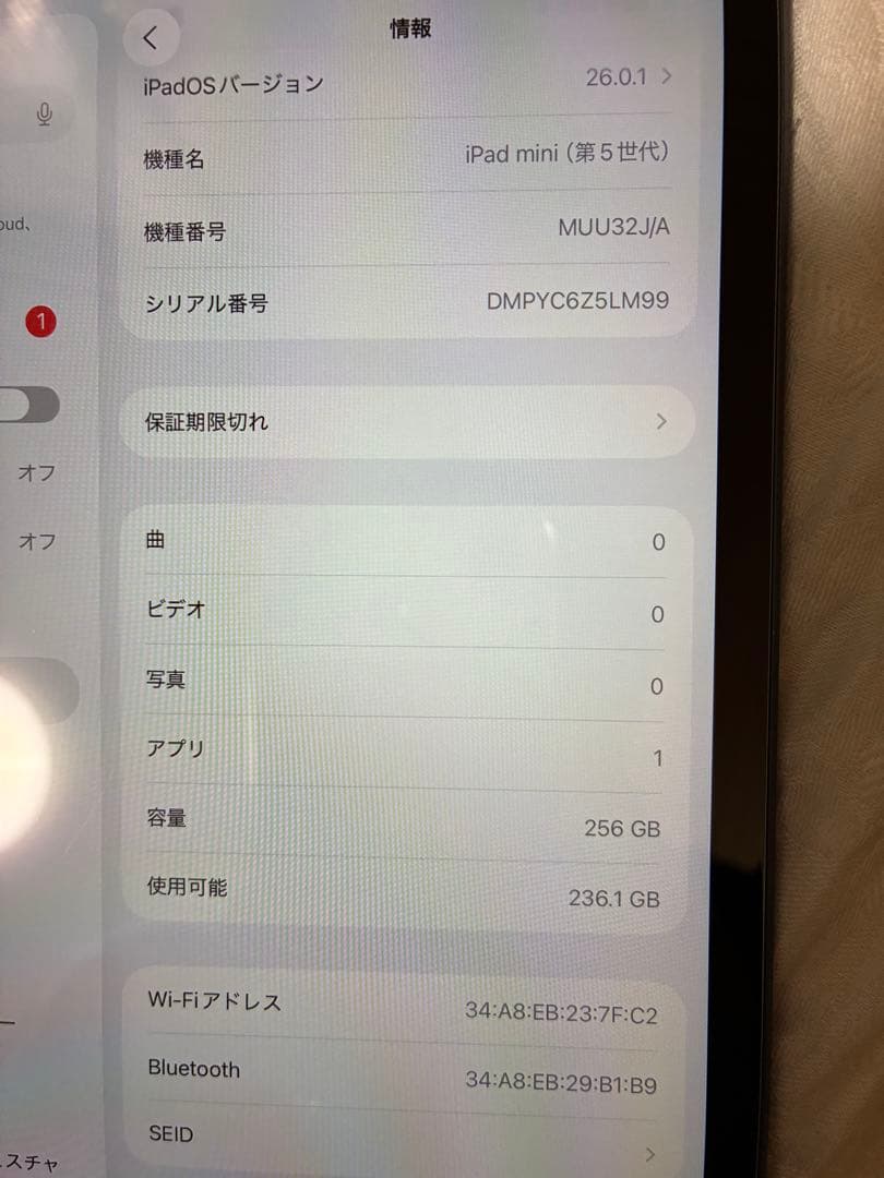iPadmini5 256gb wifiモデル