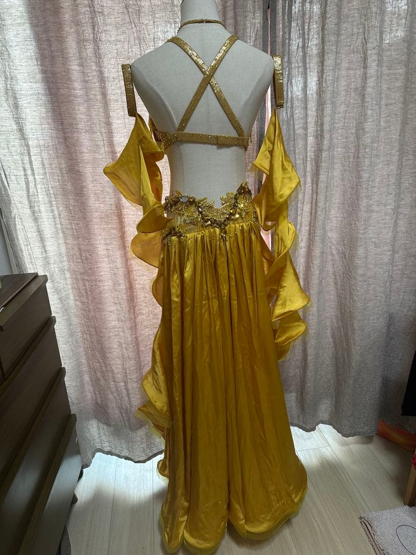 波　オーダー豪華衣装　新品　ベリーダンス　4点セット