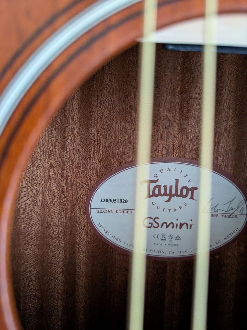 Taylor GS Mini　Mahogany【2022製】