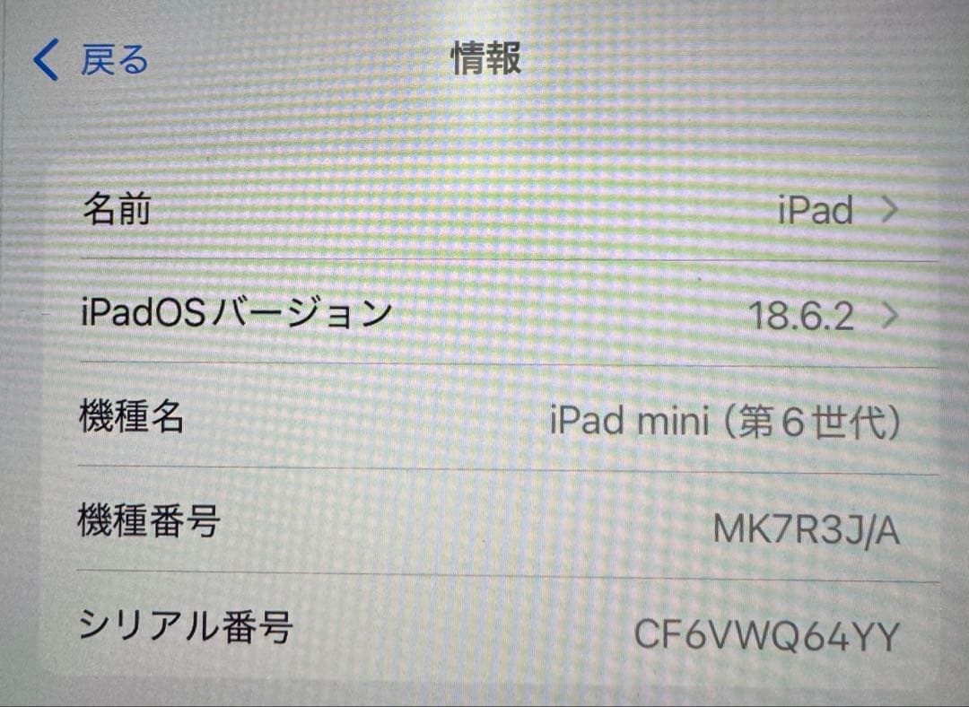 iPad mini Wi-Fi モデル64GB パープル Pencil ケース付