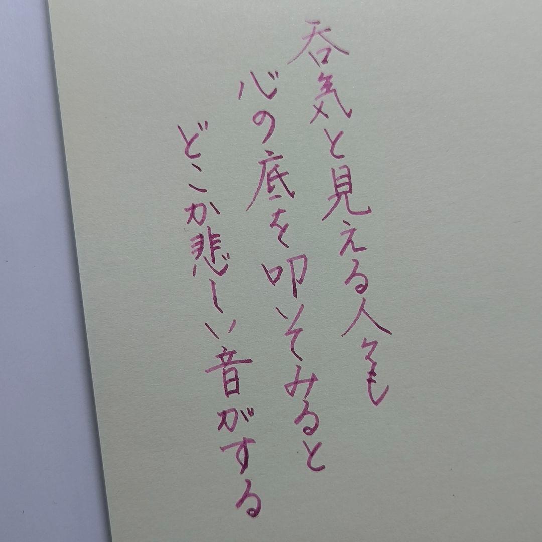 【断捨離】ワンチャー 誠エボナイト シルキーブラック 渓流ニブ搭載
