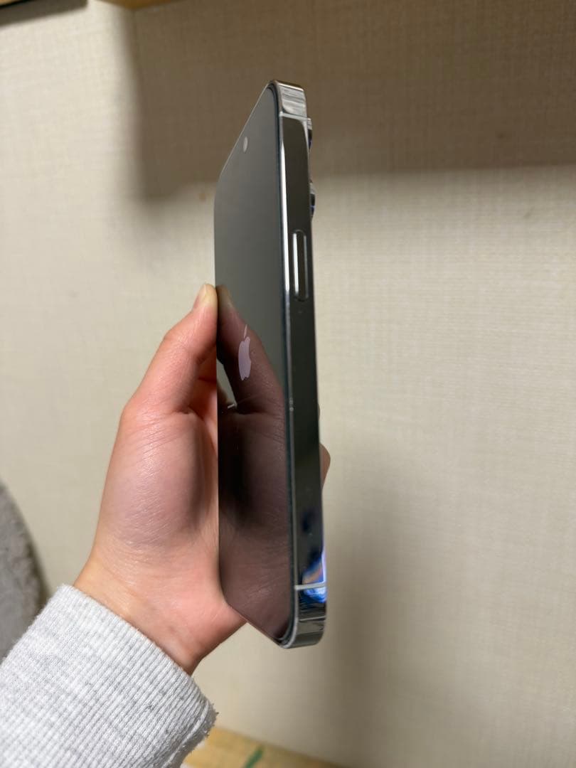 Apple iPhone 14 Proシルバー 256GB