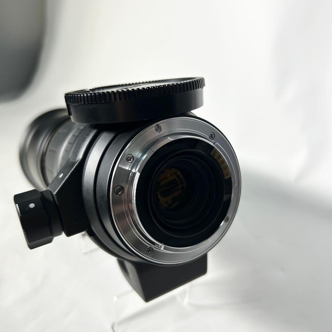 超望遠の世界へ！SIGMA APO 170-500mm F5-6.3 SONY用