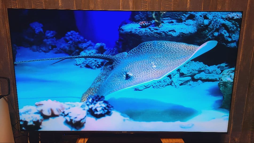 SHARP AQUOS XLED 4T-C65DP1 液晶テレビ シャープ 4K