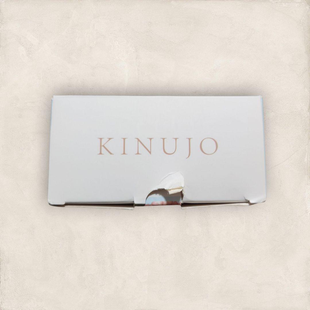 ✨極美品✨ 絹女 海外対応ストレートアイロン キヌージョワールド DS100