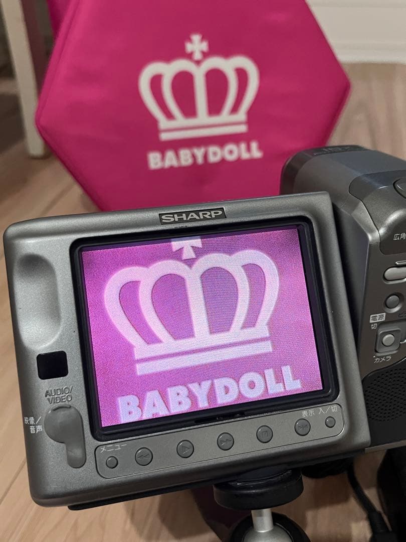 SHARP VIEWCAM VL-EL450ビデオカメラ 本体