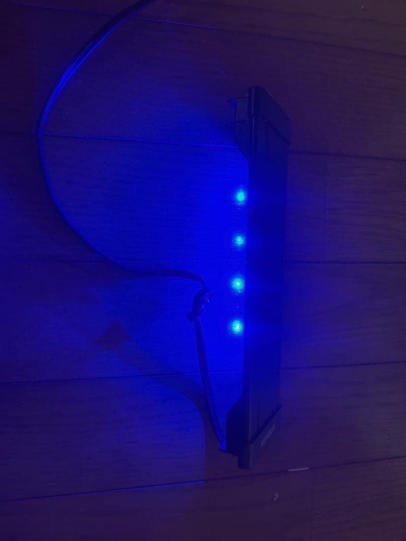 水槽 海水飼育セット　600×200×300 ライブロック付き