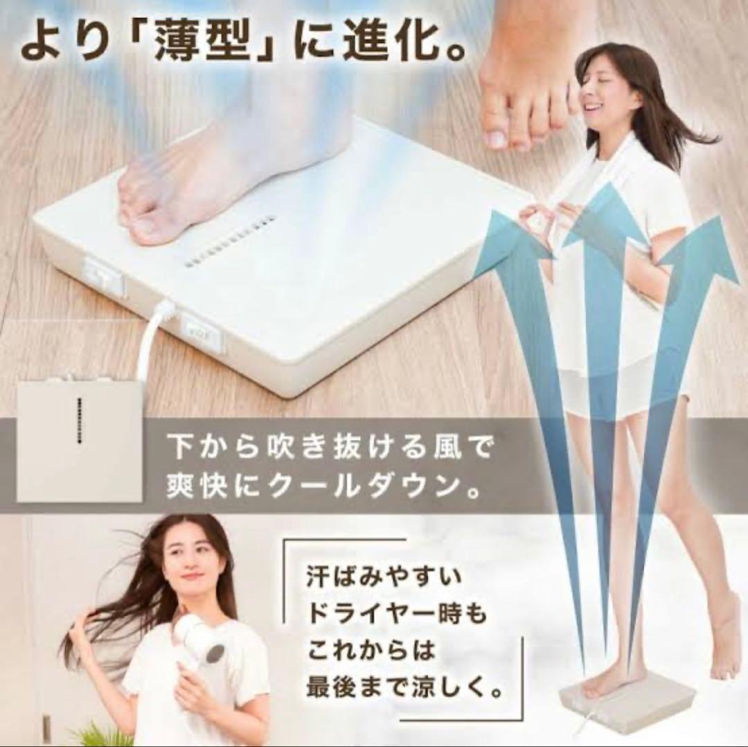 THANKO（サンコー） のれる扇風機（ のれせん2）