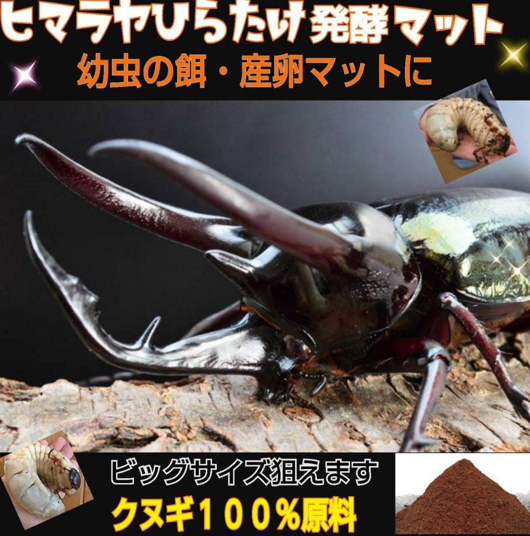 カブトムシ幼虫が大きくなる！栄養価抜群の発酵マット【60リットル】チャック付袋