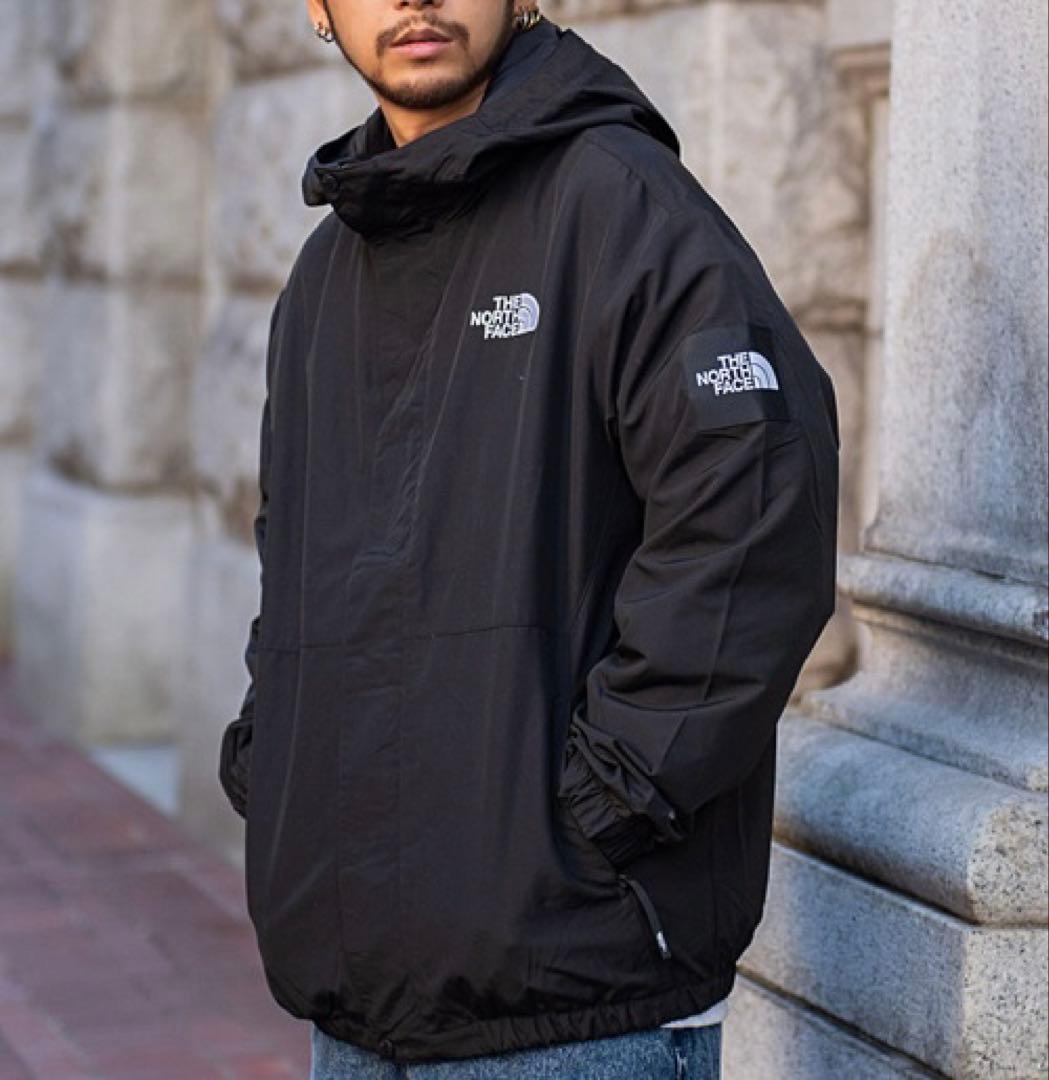 限定特価　L ノースフェイス ホワイトレーベルVILAN EX JACKET