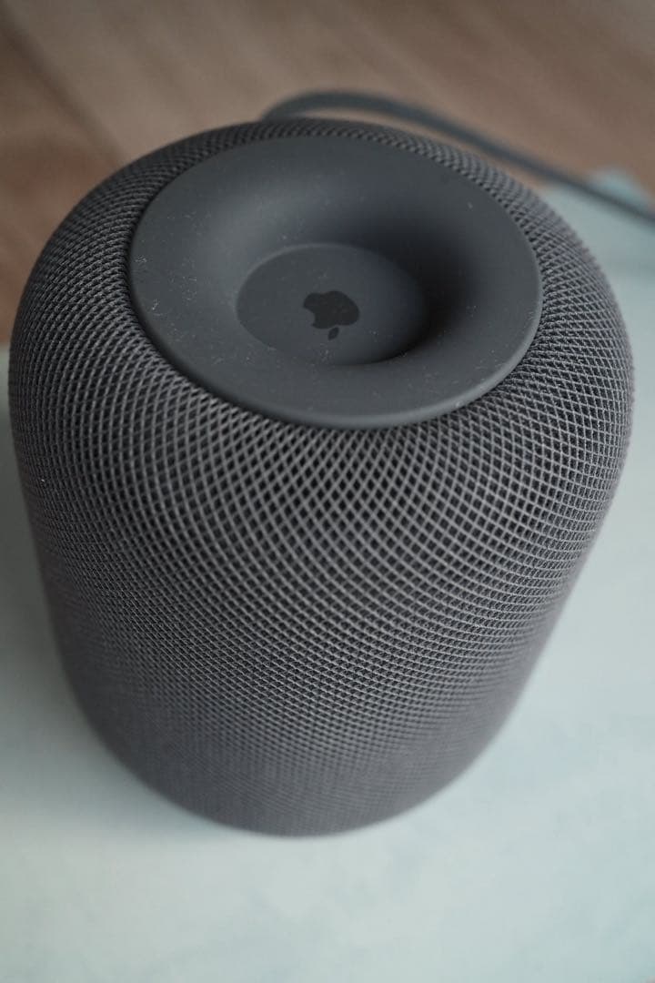 Apple Pod（第1世代）スペースグレイ