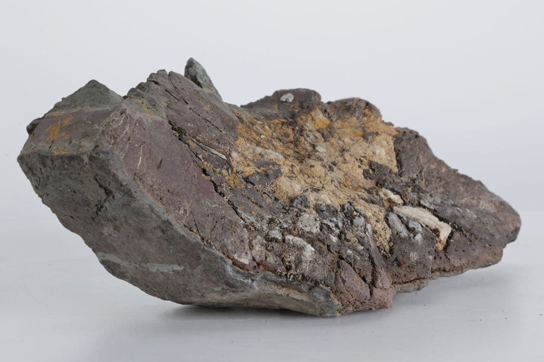 菊花石 紋石 自然石 2kg 鑑賞石 原石 水石 盆石 盆景 飾石 景石 美石