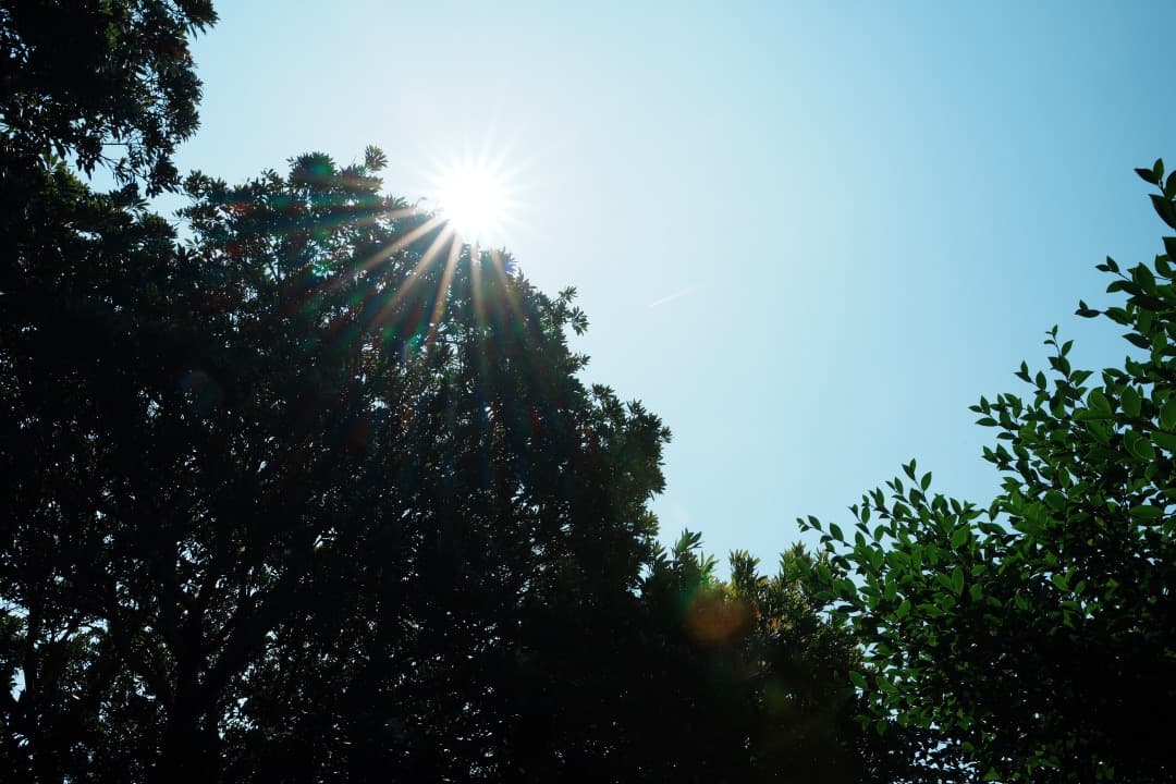 【美品】Tamron 28-75mm F2.8 Di III RXD ソニーE用