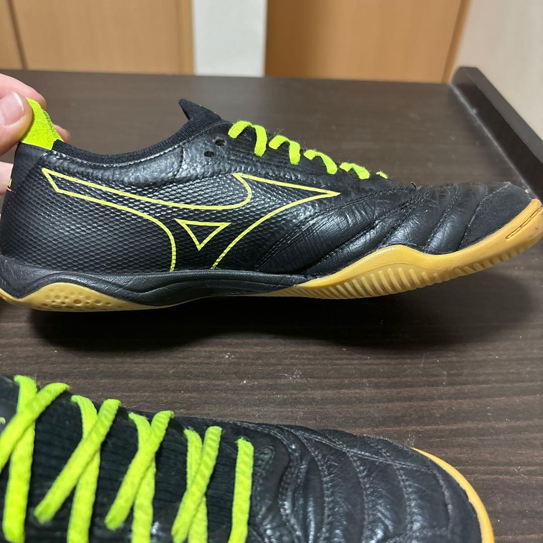 モレリア サラ β