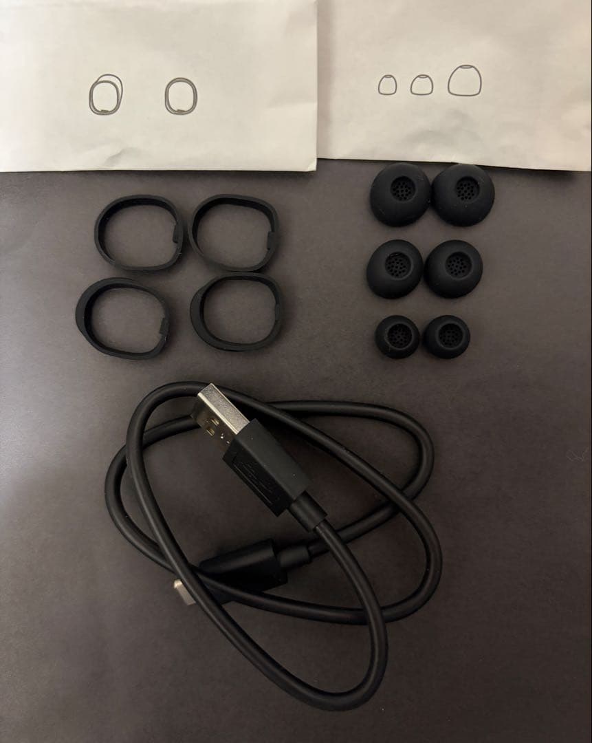 イヤホン Sennheiser Momentum True Wireless 4