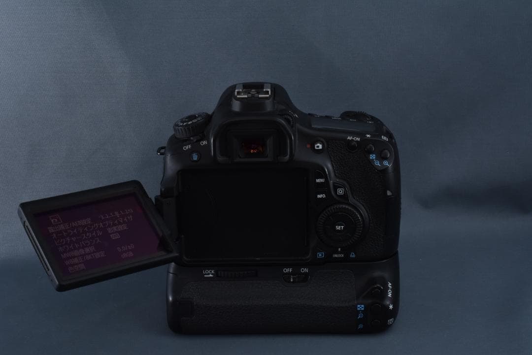 【極美品】Canon EOS 60D ＋ バッテリーグリップ BG-E9セット