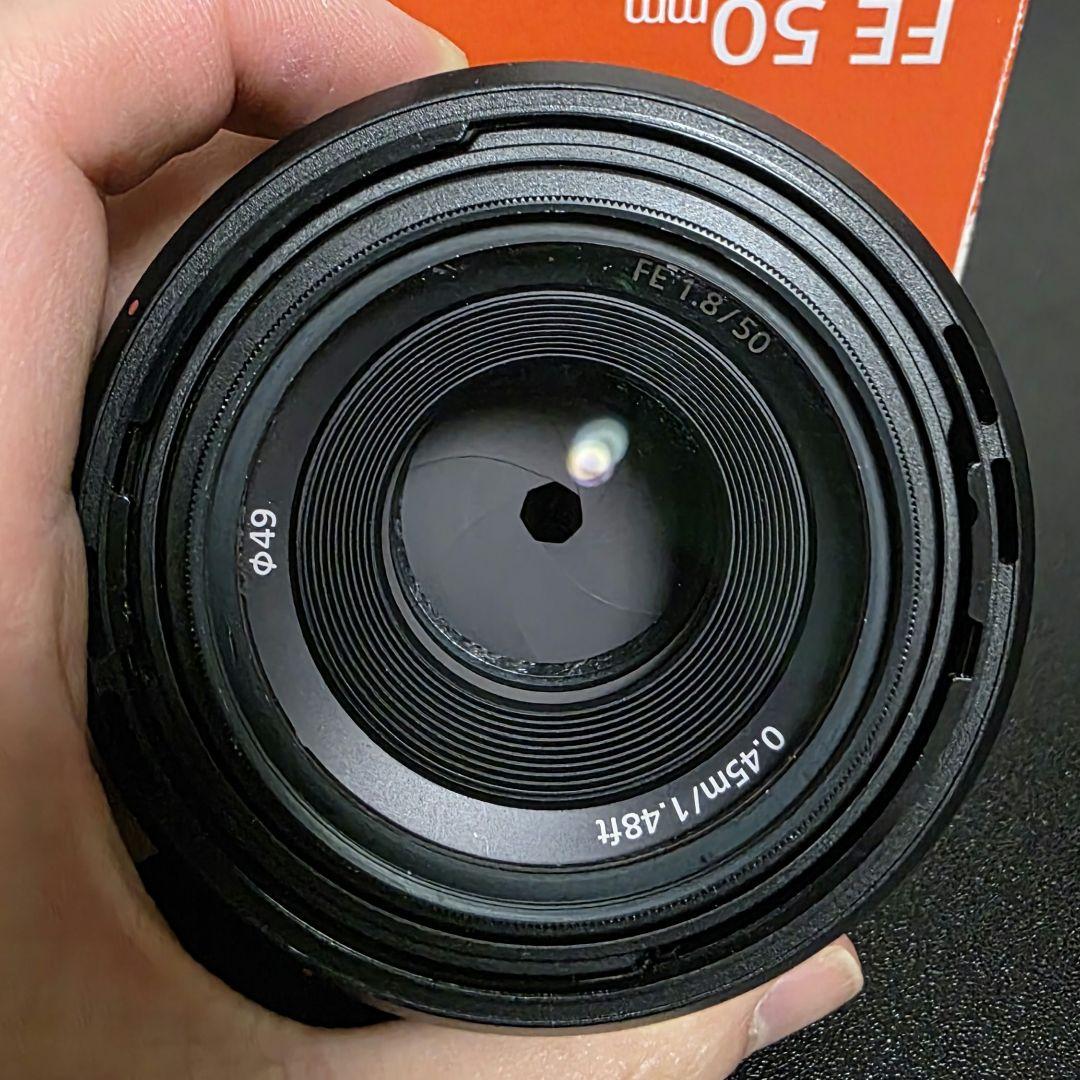 レンズ(単焦点) SONY FE 50mm F1.8 SEL50F18F