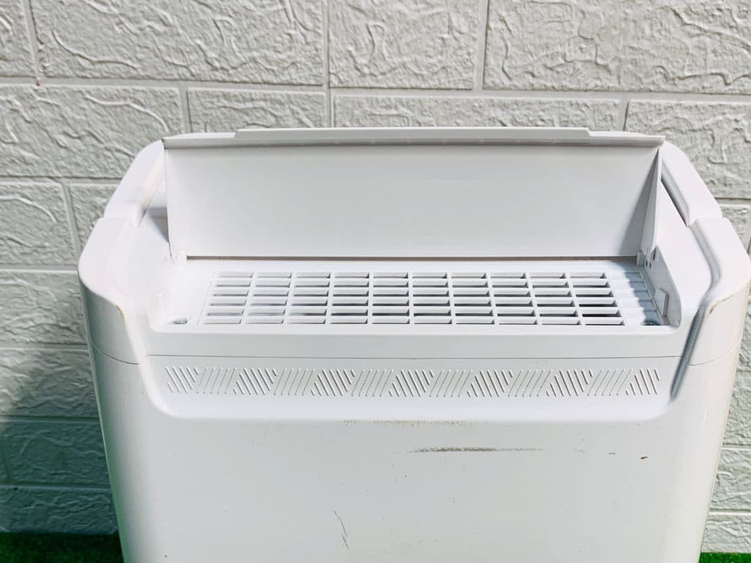 IRIS OHYAMA 衣類乾燥除湿機 ホワイトDCE-6515 2024年製