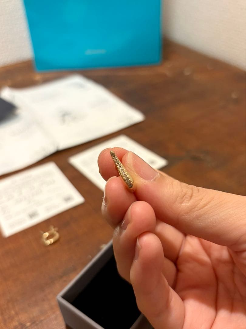 Hirotaka (片耳用) CYGNUS ダイヤモンド ピアス