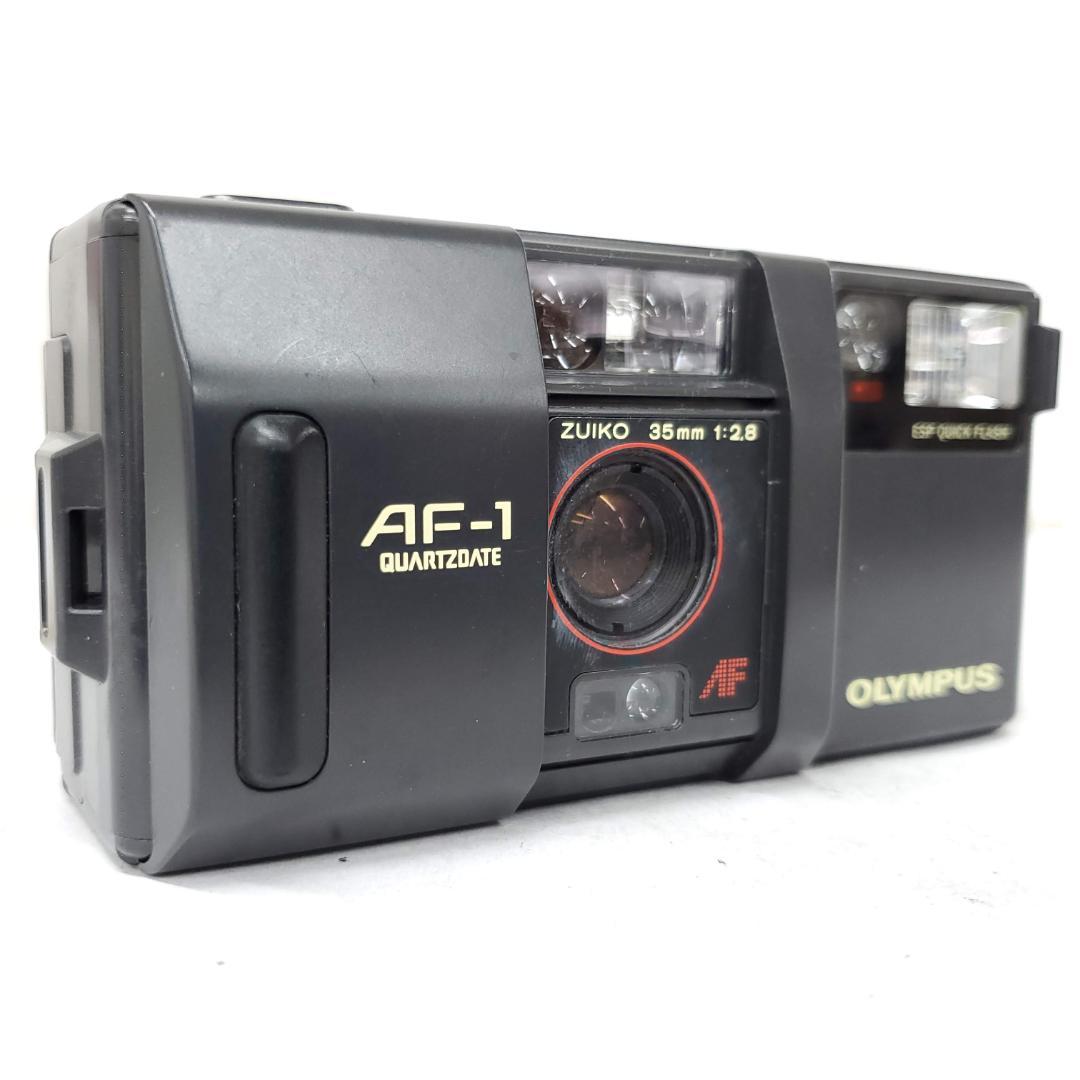 【動作確認済】 Olympus AF-1 F0116-333-10v p