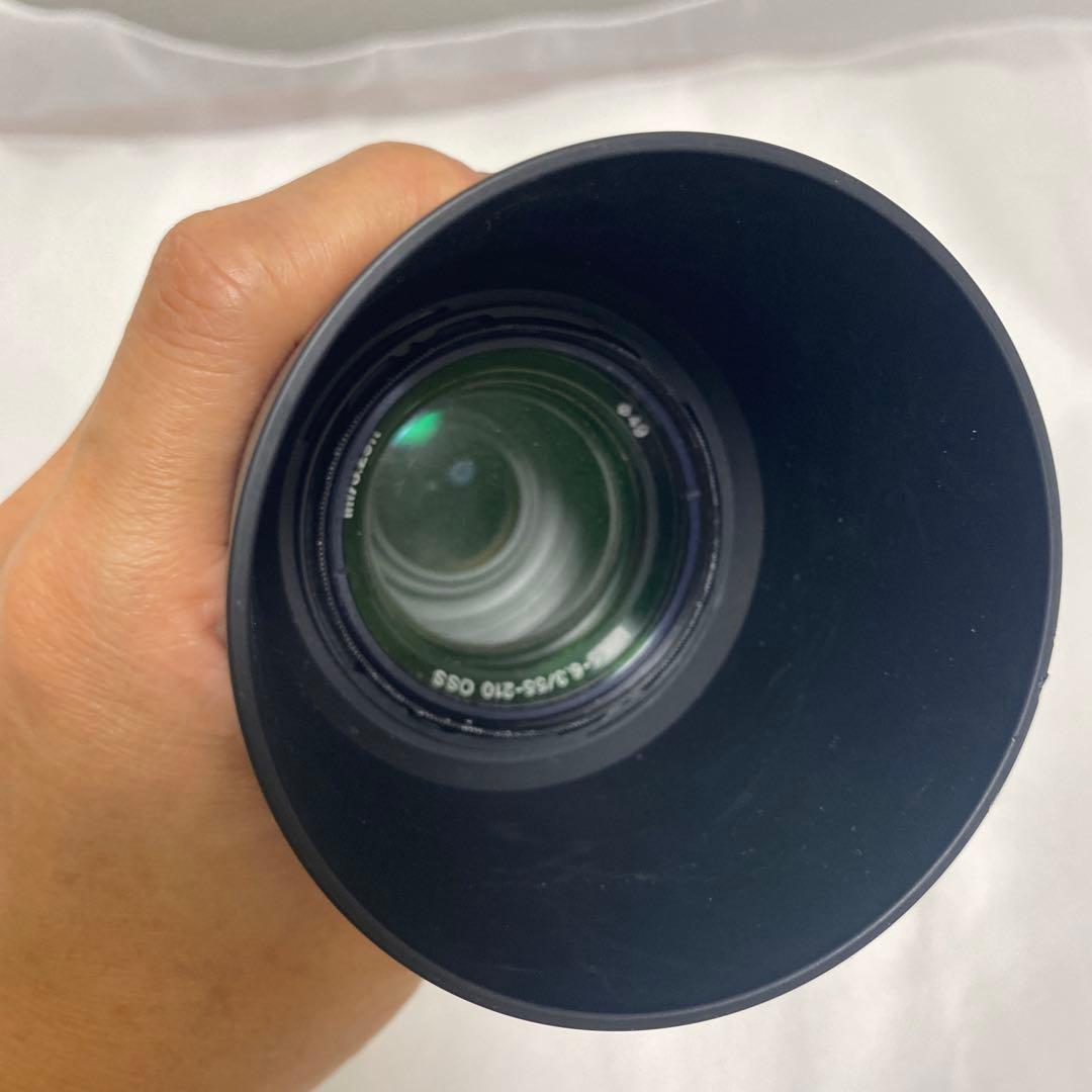 大迫力の望遠レンズ　ソニー SONY E 55-210mm F4.5-6.3