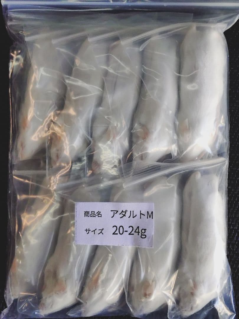 てり　冷凍マウスアダルトM30匹、ファジー30匹