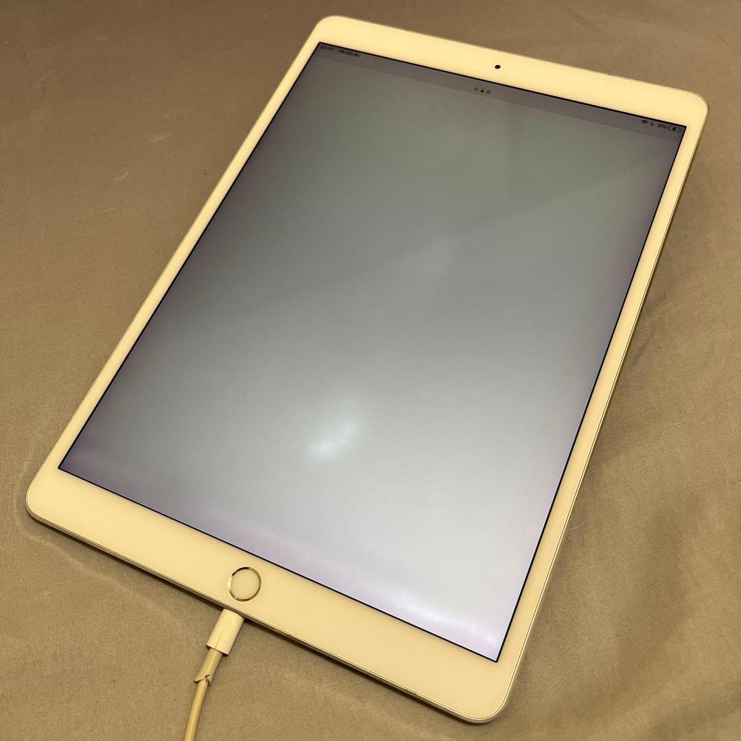 iPad Pro 10.5 512GB Wi-Fi Cellular 本体