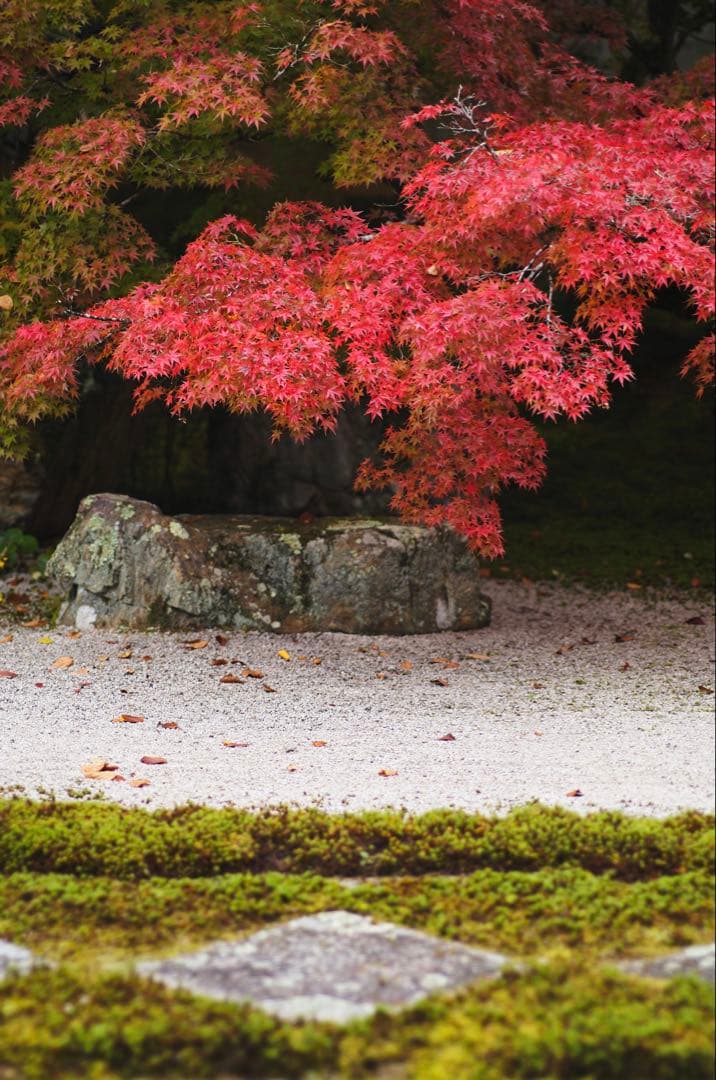 【良品】Leica テレエルマリート 90mm F2.8 (後期)