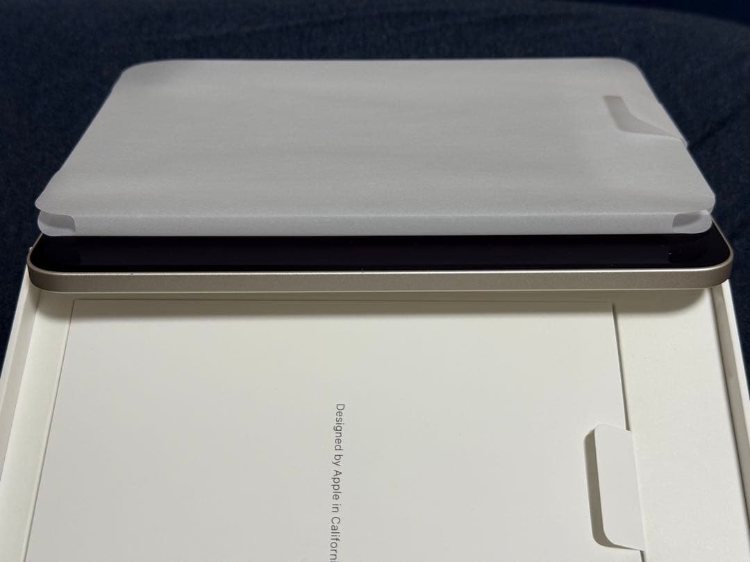 iPad mini 6 256GB Wi-Fi スターライト