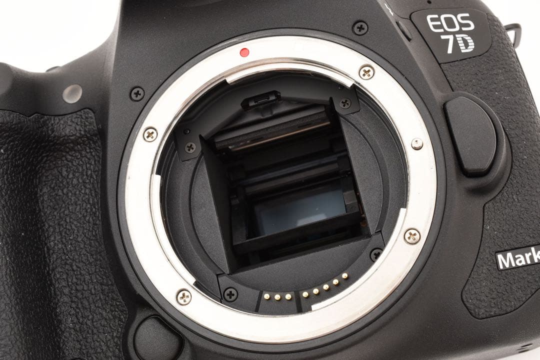 デジタル一眼レフカメラCanon EOS 7D MarkⅡ標準&望遠レンズセット