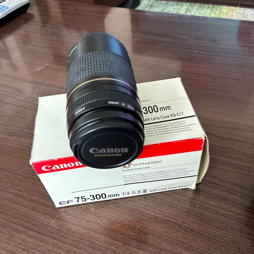 Canon EOS EF 75-300mmセット
