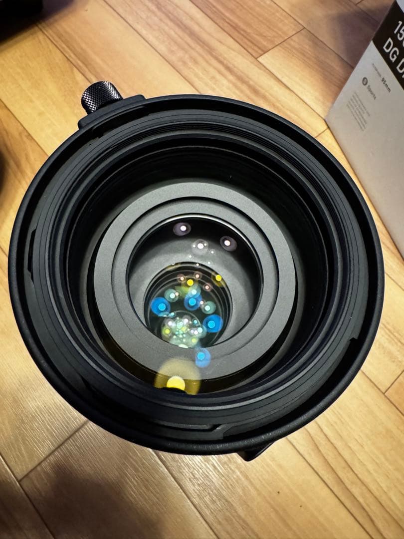 shyunn 　SIGMA 150-600mm f5-6.3 Lマウント