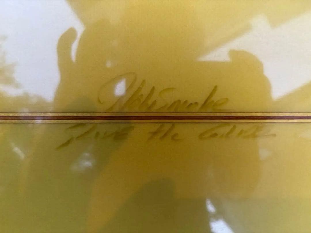 Josh Hall ジョシュホール　フィッシュシモンズ　中古　手渡し限定